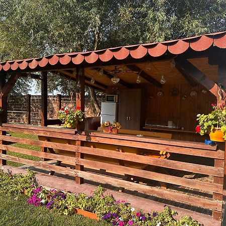 Casa Carp Calarasi Hotel Екстериор снимка