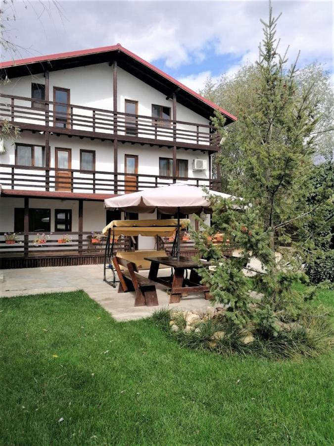 Casa Carp Calarasi Hotel Екстериор снимка